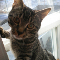 Photo de profil de Hubert