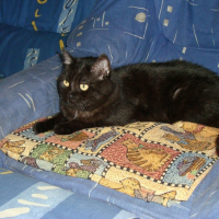 Photo de profil de Tina