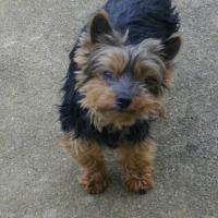 Photo de profil de Rickles