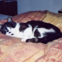 Photo de profil de Elza