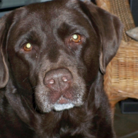 Photo de profil de Ulane