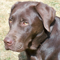 Photo de profil de Dune