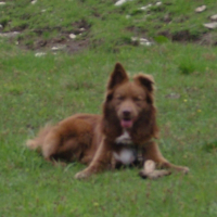 Photo de profil de Arsouille