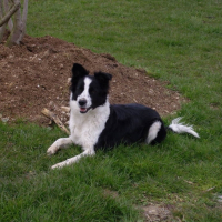 Photo de profil de Bella