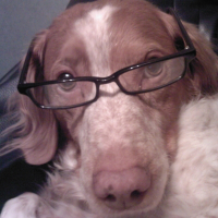Photo de profil de Platon