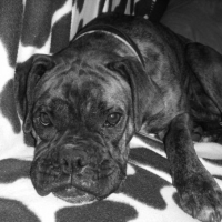 Photo de profil de Tessa