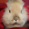 Photo de Menndy