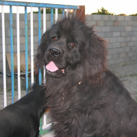 Photo de profil de Bambou