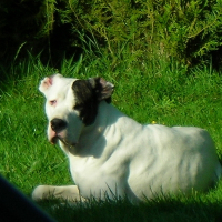 Photo de profil de Calva