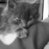 Photo de profil de César