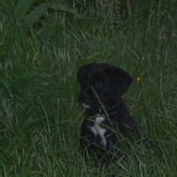 Photo de profil de Marley