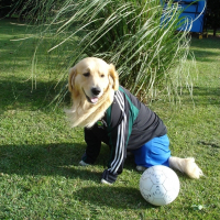 Photo de profil de Simba