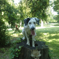 Photo de profil de Bloomer