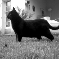 Photo de profil de Loula