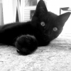 Photo de Mali
