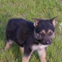 Photo de profil de Paco
