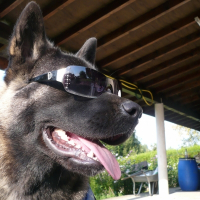 Photo de profil de Daya