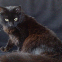 Photo de profil de Chachat