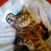 Photo de Dolyne