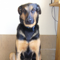 Photo de profil de Héra