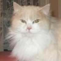 Photo de profil de Bouboule