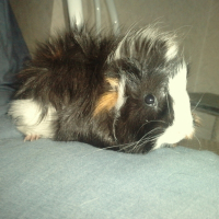 Photo de profil de Basile