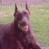 Photo de profil de Blue