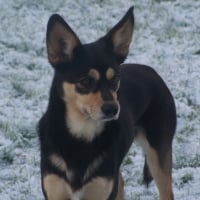 Photo de profil de Kinai