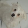 Photo de Yoshi