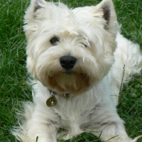 Photo de profil de Twister