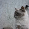 Photo de Zoé