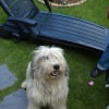 Photo de Upomiek