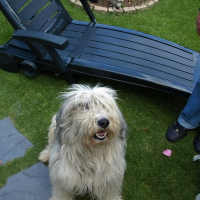 Photo de profil de Upomiek