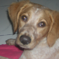 Photo de profil de Dolly