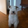 Photo de Lucky