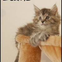 Photo de profil de Ecume