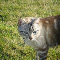 Photo de profil de Bidouille