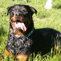 Photo de profil de Cheyenne