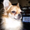 Photo de Charly