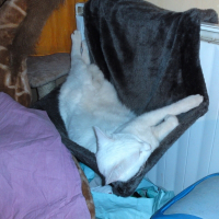 Photo de profil de Lucky