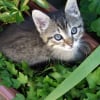 Photo de Marley