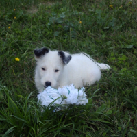 Photo de profil de Enoa