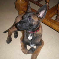 Photo de profil de Eclair