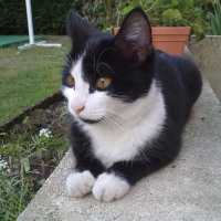 Photo de profil de Missy