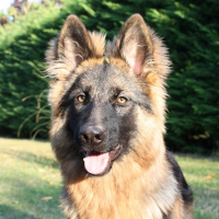 Photo de profil de Eden