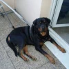 Photo de Banbo