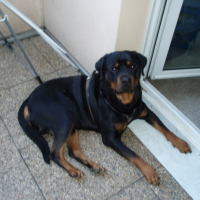 Photo de profil de Banbo