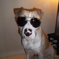 Photo de profil de Woody's original cysko