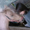 Photo de Titoune