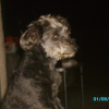 Photo de Loly